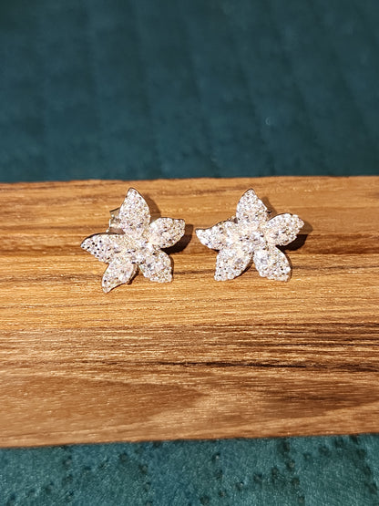 Star fish shaped earring