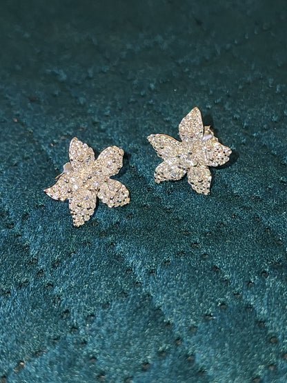 Star fish shaped earring