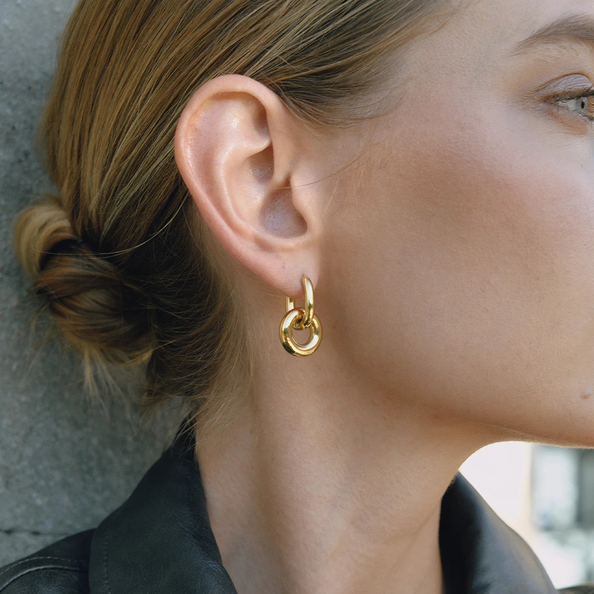 Two Tone Smooth Double Circle Earrings