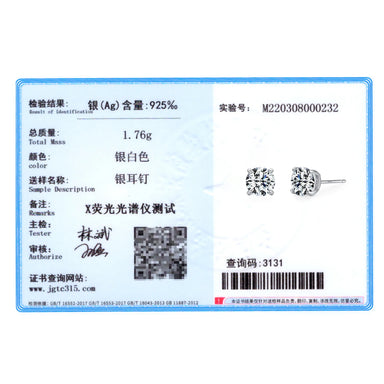 925 Sterling Silver Round Clear Zircon Stud Earrings - Kimiko