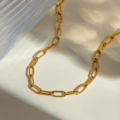 J&D Simple Stainless Steel Anklet Design 18K Gold Plated Paper Clip Chain Anklet for Women