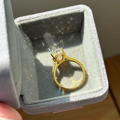 THE FATED RING